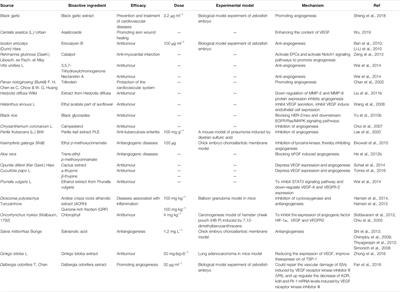 Role of Active Components of Medicinal Food in the Regulation of Angiogenesis